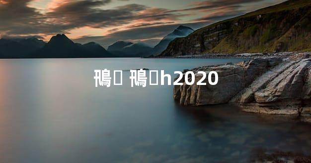 鳵۸ 鳵۸һ2020
